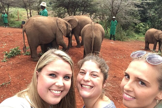 Elephant Orphanage, Giraffe Centre& optional Nairobi NationalPark - What the private format changes