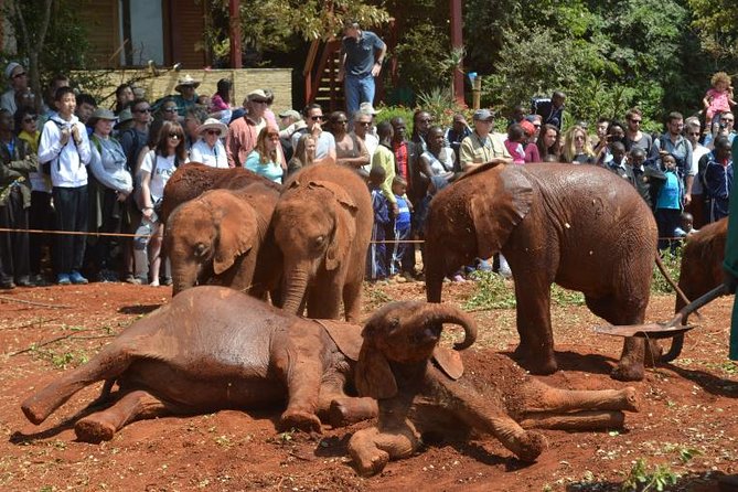 Elephant Orphanage & Giraffe Centre Tour - A bead workshop with a local purpose