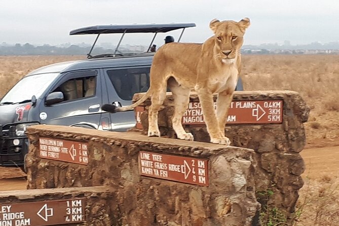 Elephant Orphanage & Giraffe Centre Tour - Why the private vehicle and guide matter