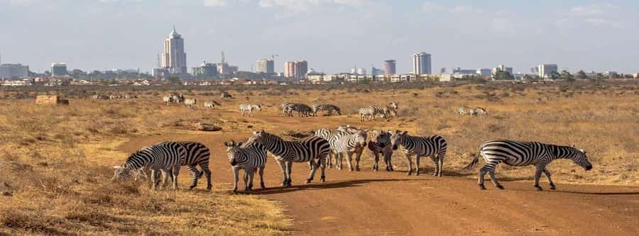 Elephant Orphanage, Giraffee Center, Karen Blixxen Meseum - Karen Blixen’s house and the Out of Africa connection