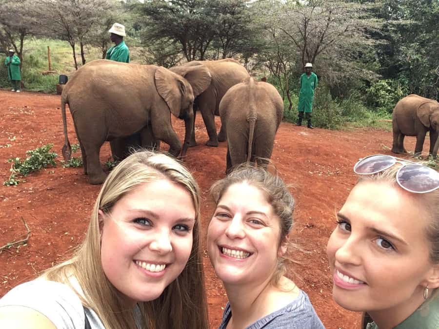 Elephant Orphanage Trust, Giraffes & Bomas of Kenya Day Tour - Kobe Beads and the human side of the itinerary