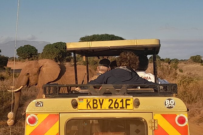 Elky Tours 2 Days Tsavo East Tour - What the $435 price covers