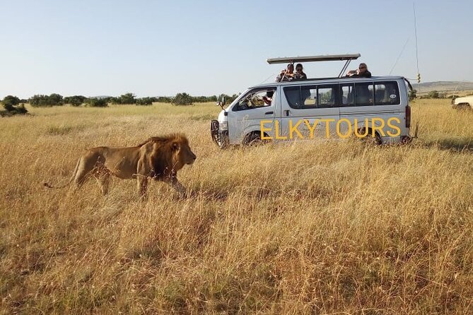 Elkydianibeachtaxis - The ride itself: cars, comfort, and useful conversation