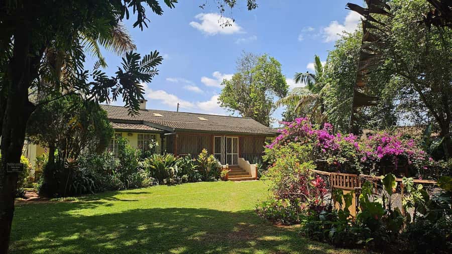Fairview Coffee Estate Tour From Nairobi - Why Fairview is a good coffee introduction