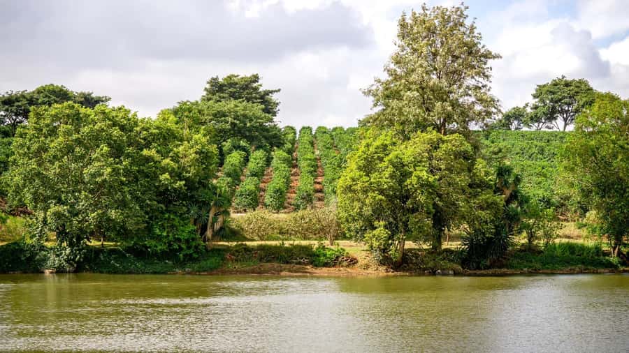 Fairview Coffee Estate Tour From Nairobi - Following coffee through the factory
