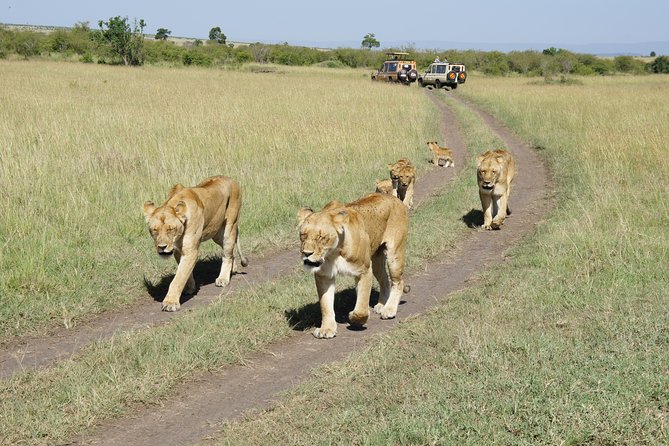 Family & Friends safari Full package . - Days 7 and 8: Three nights of coast time