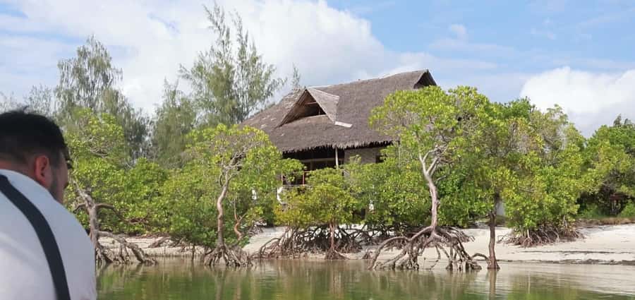 From Diani Beach: Funzi Island Full Day Excursion with Lunch - Who will enjoy this Funzi excursion
