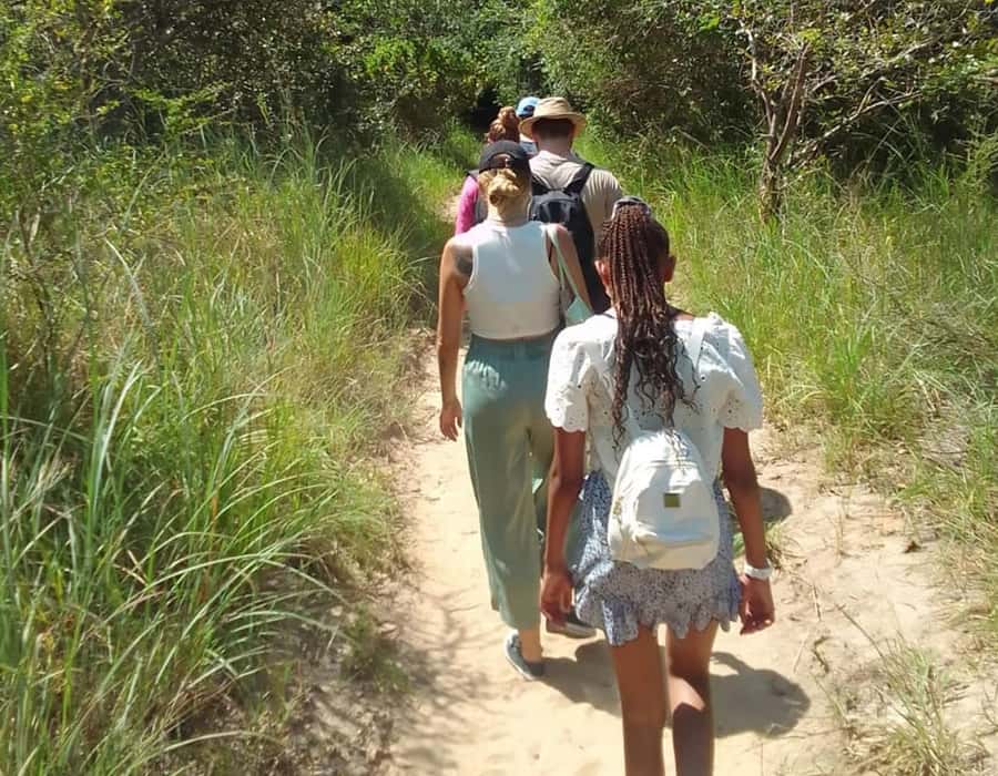 From Diani: Full Day Shimba hills tour with Sheldrick Falls - Shimba Hills from Diani: a day of animals, stairs, and forest