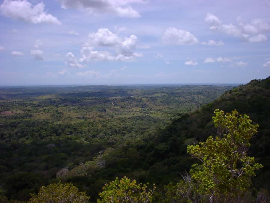 From Diani: Full Day Shimba hills tour with Sheldrick Falls - Lunch at Shimba Green Lodge