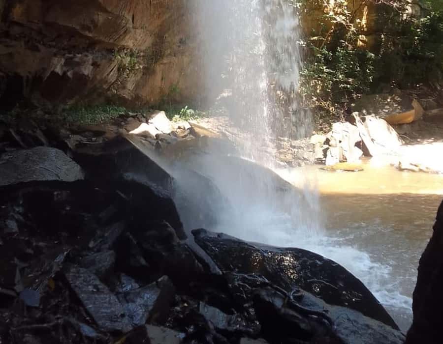 From Diani: Full Day Shimba hills tour with Sheldrick Falls - How much value does $208 provide?