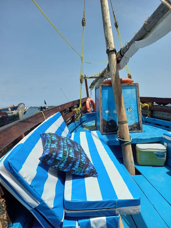From Mombasa: Kisite Mpunguti Marine Park and Wasini Island - Key points to know before booking