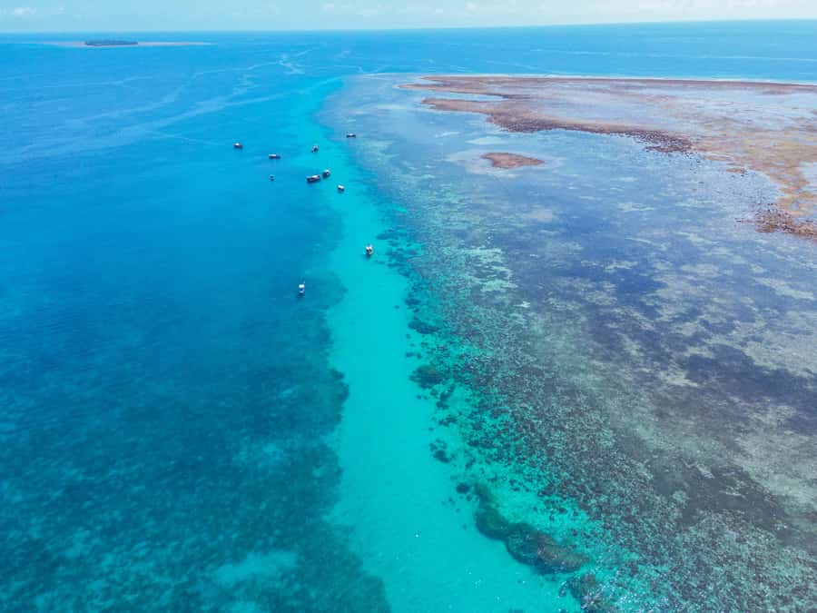 From Mombasa: Kisite Mpunguti Marine Park and Wasini Island - A short walk on Wasini Island