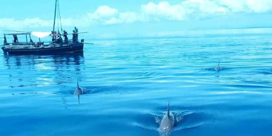 From Mombasa: Kisite Mpunguti Marine Park and Wasini Island - What the $135 price really covers