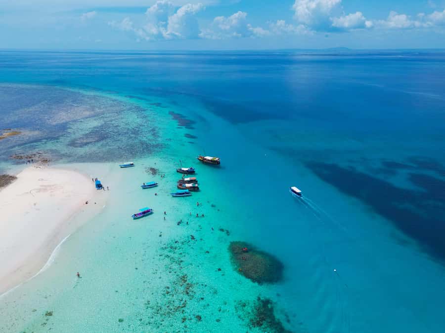 From Mombasa: Kisite Mpunguti Marine Park and Wasini Island - Guides, languages, and the level of support