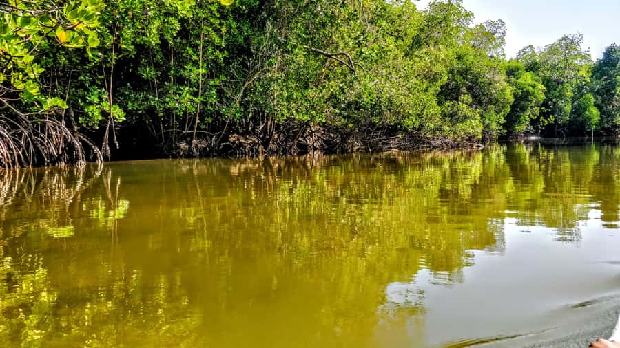 From Mombasa: Watamu Marine Park & Sudi Island Excursion - From Mombasa to Watamu, expect an early start