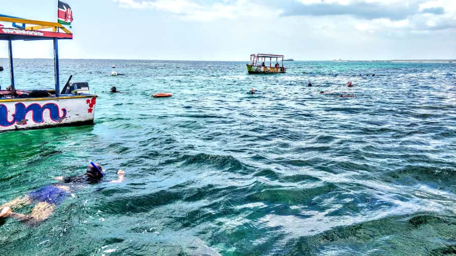 From Mombasa: Watamu Marine Park & Sudi Island Excursion - Snorkeling among fish, turtles, and seasonal visitors