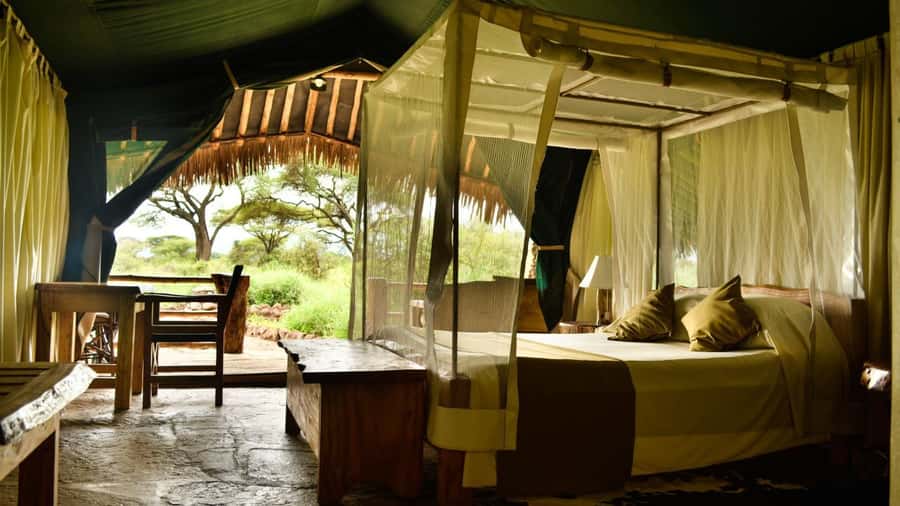 From Nairobi: 2-Day Amboseli National Park Safari - Arriving for lunch, rest, and the first game drive