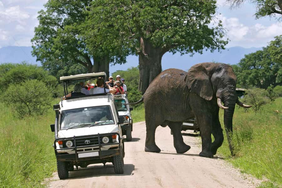 From Nairobi: 2-Day Amboseli National Park Safari - The 7 am drive from Nairobi to Amboseli