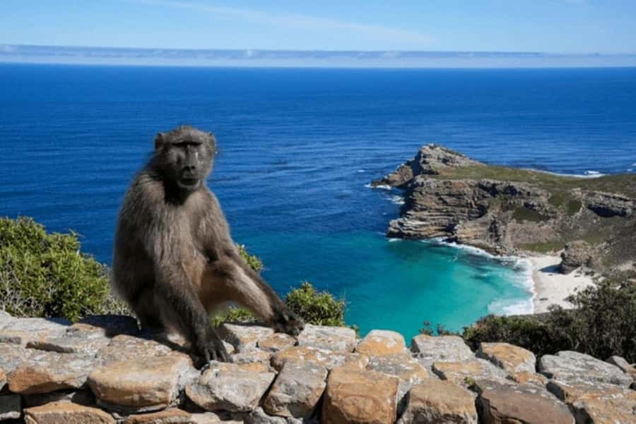 From Nairobi: 2-Day Naivasha Safari with Accommodation - Who should choose this two-day trip