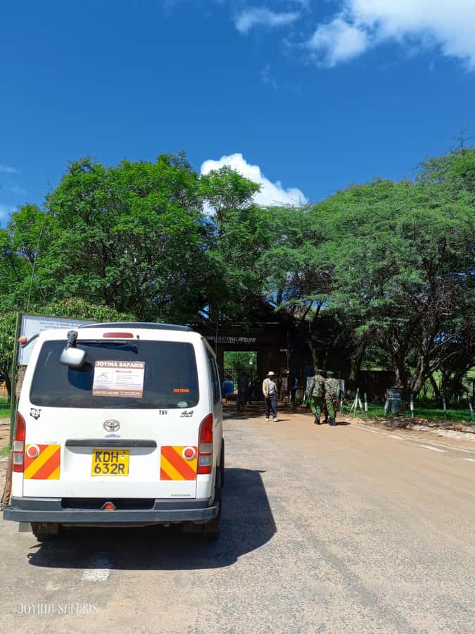 From Nairobi : 2-Days 1-Night Masai Mara Private 4WD Safari - Why two days can work in the Maasai Mara