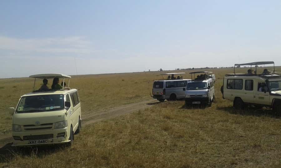 From Nairobi: 3 Days, 2 Nights Maasai Mara Group Safari - Key points to know before booking