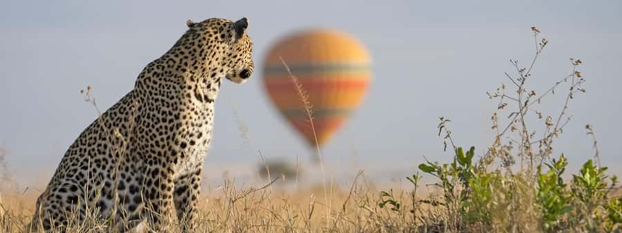 From Nairobi:3-Days 2-Nights Maasai Mara Group Safari in 4WD - Day 1: Nairobi, the Rift Valley, and the first Mara drive