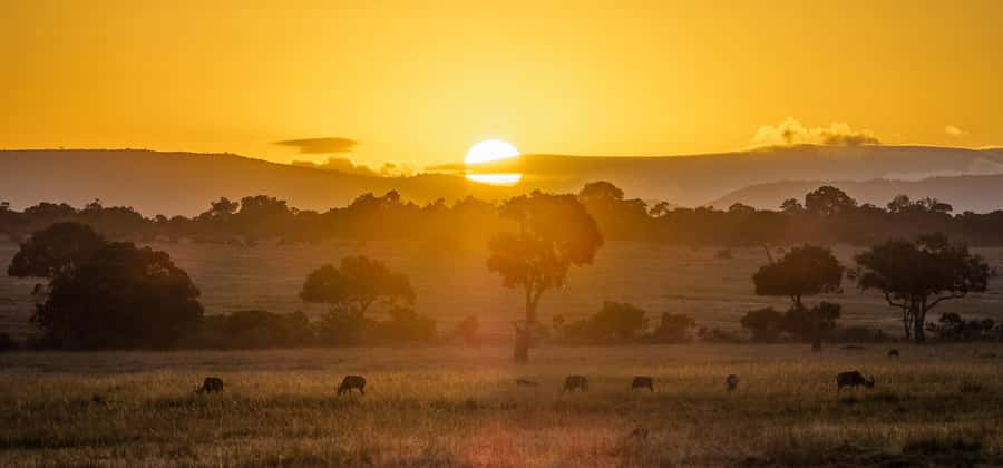 From Nairobi: 4-Day Maasai Mara and Lake Nakuru Group Safari - The transfer to Nakuru is a real travel day