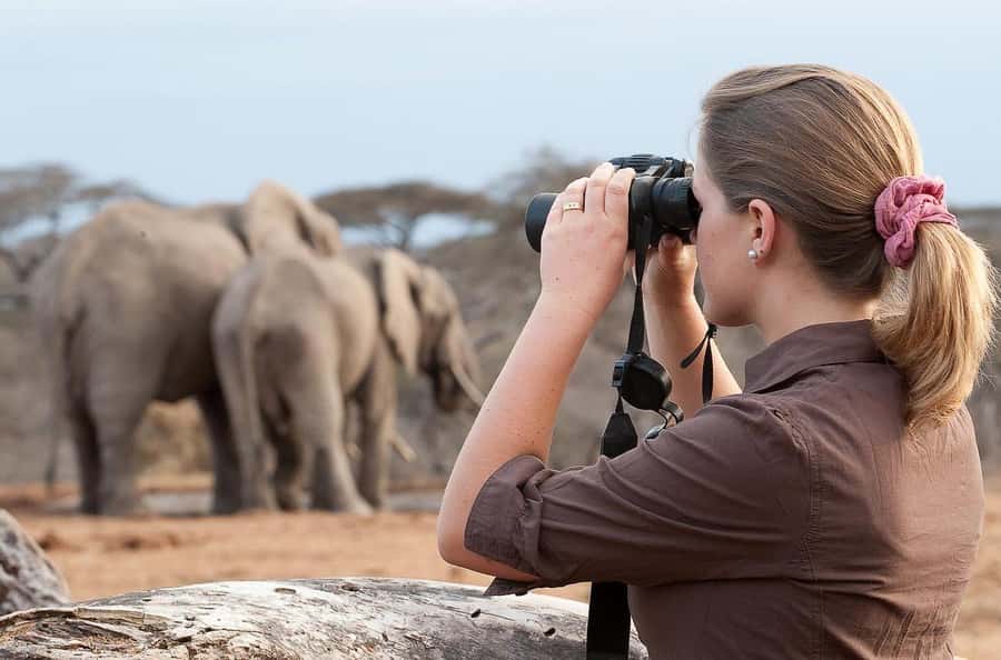 From Nairobi: Day Trip to Amboseli National Park - Why Amboseli makes a strong Nairobi day trip