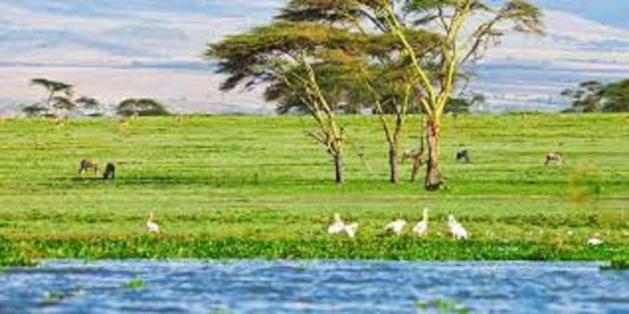 From Nairobi: Day Trip to Hells gate and Lake Naivasha - Lunch is a separate part of the budget
