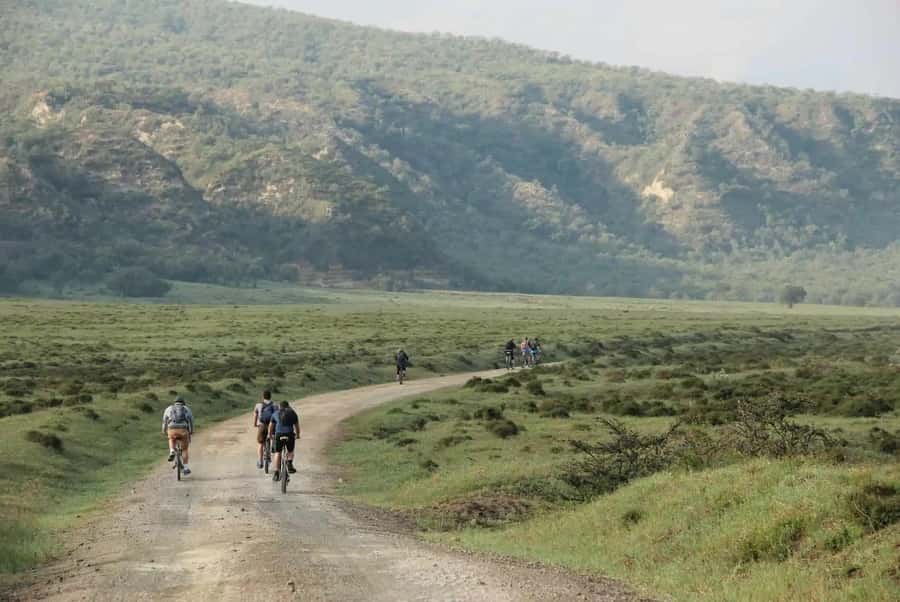 From Nairobi: Day Trip to Lake Naivasha and Hell's Gate - Fischer’s Tower, gorges, and caves