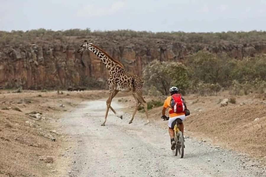 From Nairobi: Day Trip to Lake Naivasha and Hell's Gate - What the $80 price really covers