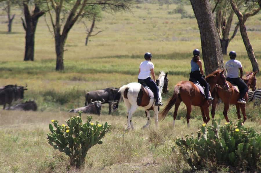 From Nairobi: Horseback Wildlife Safari with Transfer & Meal - Riding Quietly Through Kenya’s Open Plains