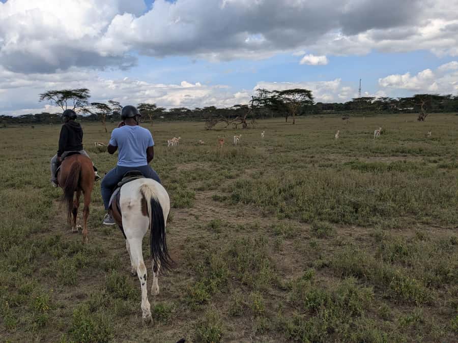 From Nairobi: Horseback Wildlife Safari with Transfer & Meal - Leaving Nairobi for Naivasha
