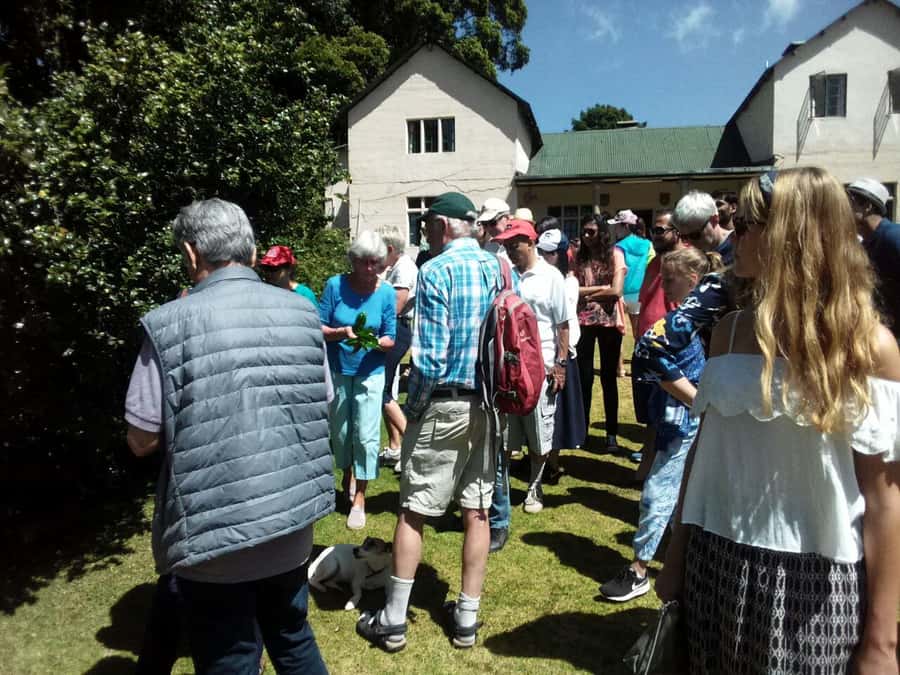 From Nairobi: Kiambethu Tea Farm Tour & Lunch - Is $160 a fair price?