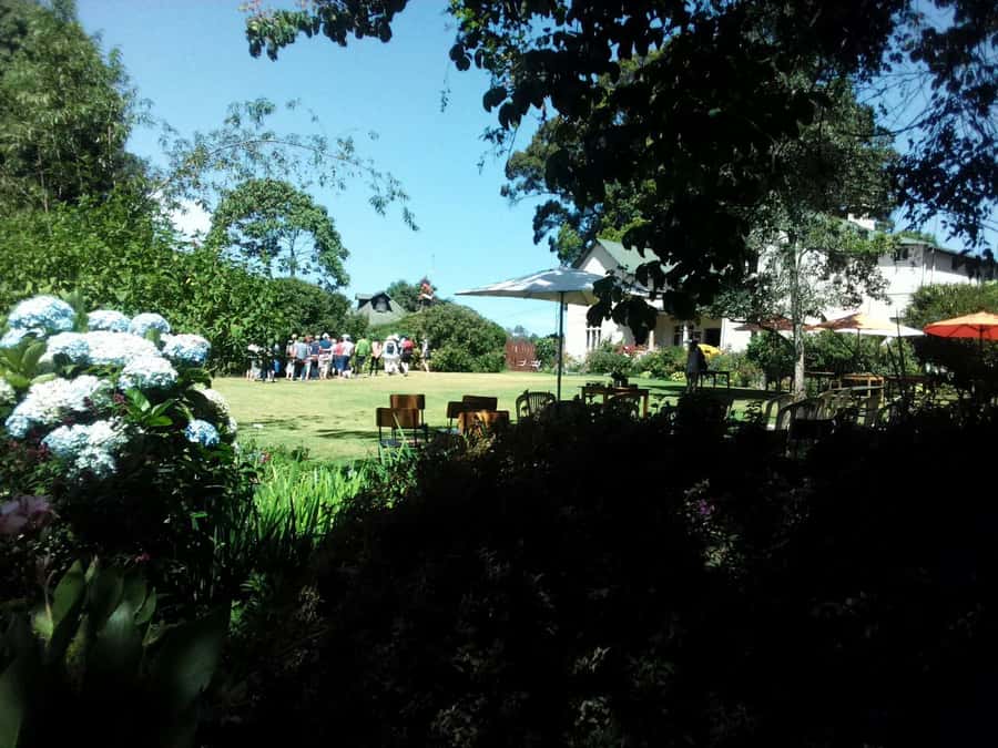 From Nairobi: Kiambethu Tea Farm Tour & Lunch - Practical planning for a smoother day