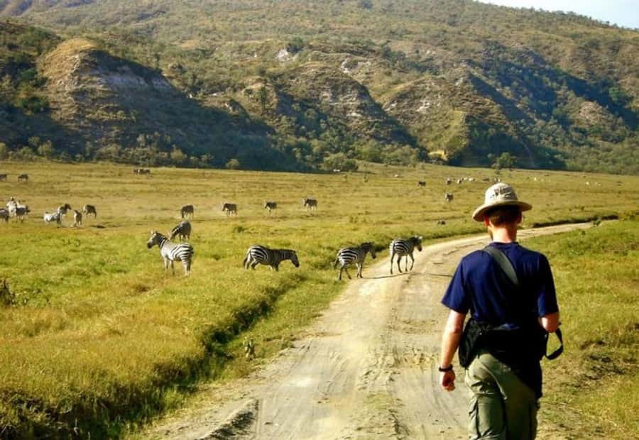 From Nairobi: Lake Naivasha and Hell's Gate Park Day Tour - Key points at a glance