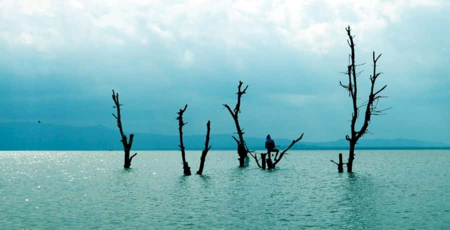 From Nairobi: Lake Naivasha and Hell's Gate Park Day Tour - The possible Maasai village visit