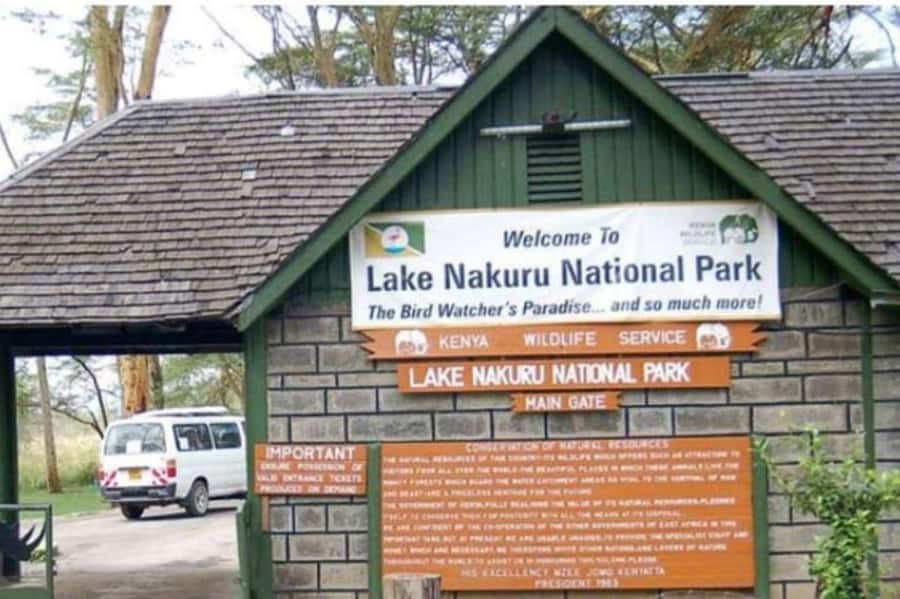 From Nairobi: Lake Nakuru National Park Full-Day Tour - Why Lake Nakuru works as a Nairobi day trip