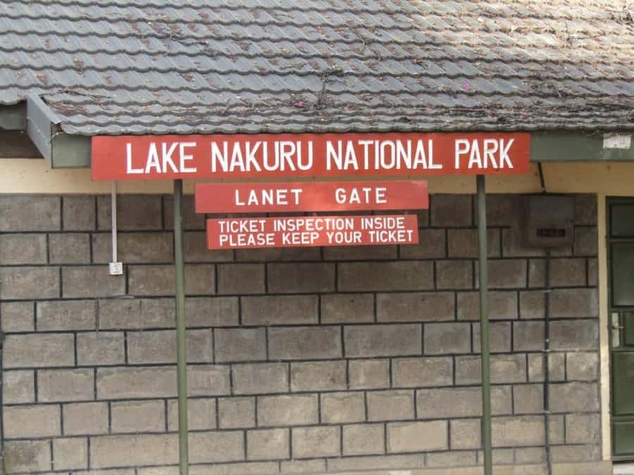 From Nairobi: Lake Nakuru National Park Full-Day Tour - Booking flexibility and practical points
