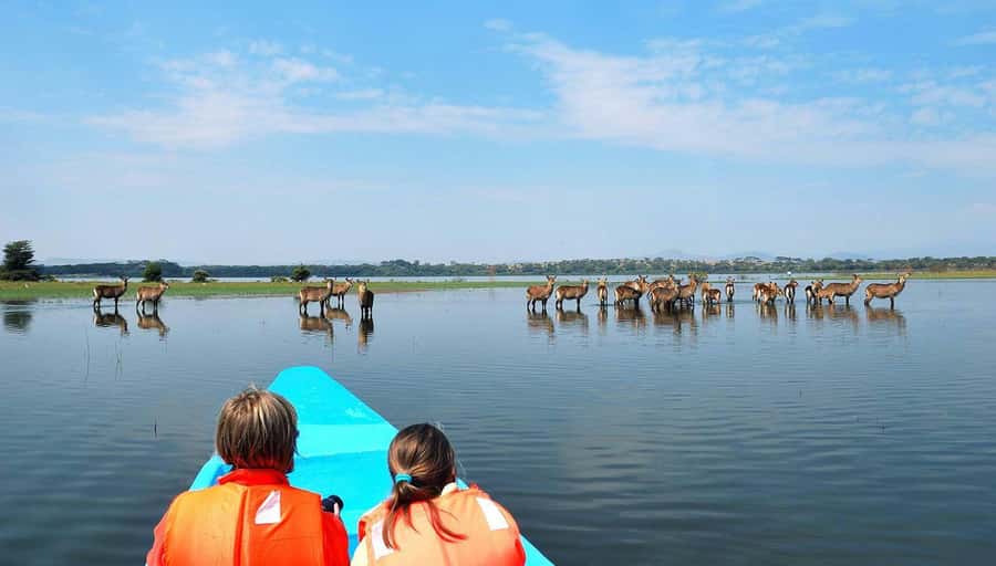 From Nairobi: Lakes Nakuru & Naivasha National Park Day Tour - Why Lake Nakuru is worth the long morning drive