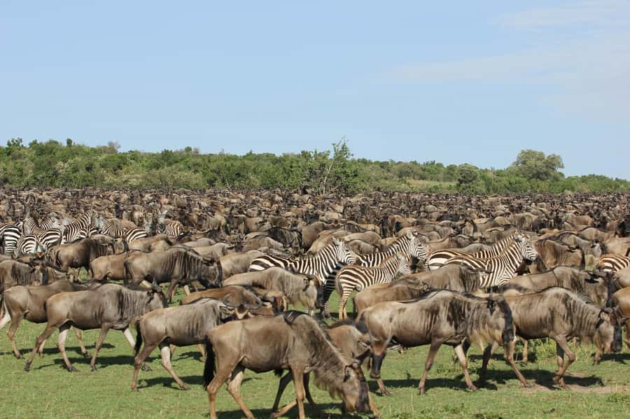 From Nairobi: Maasai Mara 3Day Budget Safari Holiday on Jeep - Leaving Nairobi for the Great Rift Valley