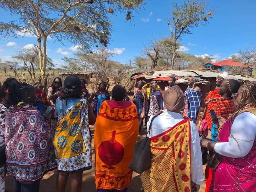 From Nairobi: Maasai village and cultural experience - Where you should keep expectations in check