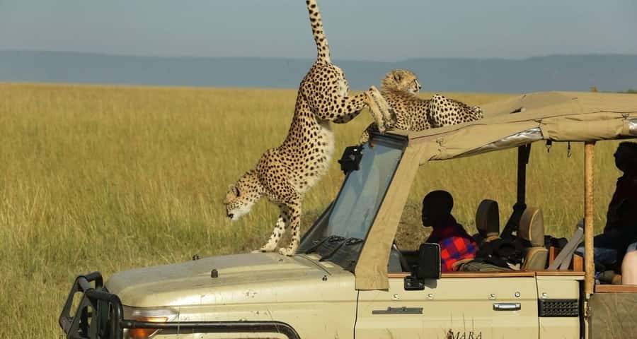 From Nairobi: Masai Mara 3-day Camping Safari by Jeep - Nairobi to the Mara, with a stop above the Great Rift Valley