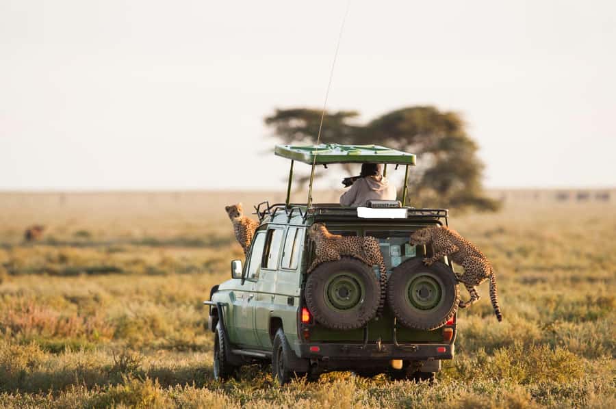 From Nairobi: Masai Mara 3-day Camping Safari by Jeep - Who should choose this three-day safari?