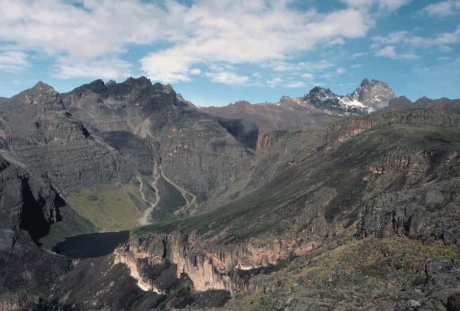 From Nairobi: Mount Kenya National Park Full-Day Hike - Walking through rainforest and bamboo forest