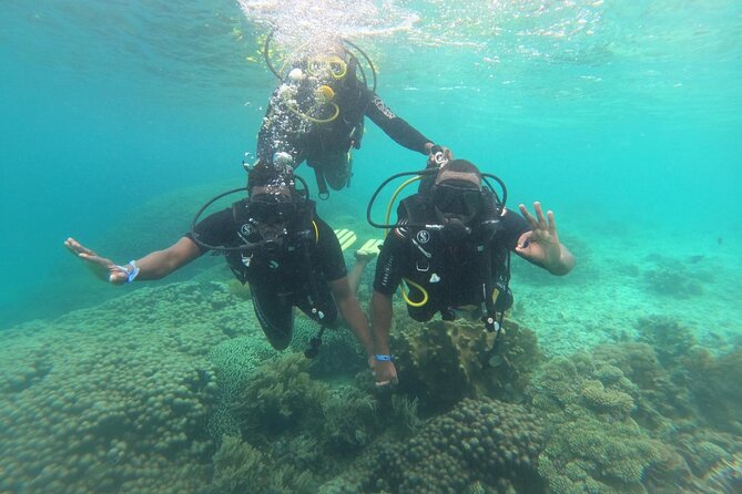 Full Day Dolphin Watching with Snorkeling in Wasini - Four hours at Kisite-Mpunguti Marine Park