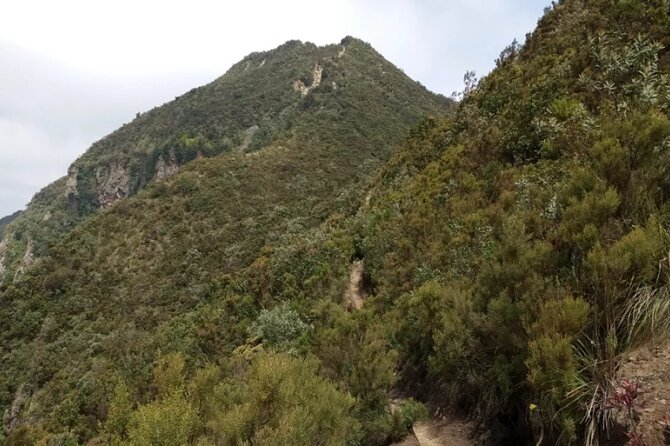Full-Day Hiking Guided Adventure at Mount Longonot - A 6:00 AM start helps with the heat