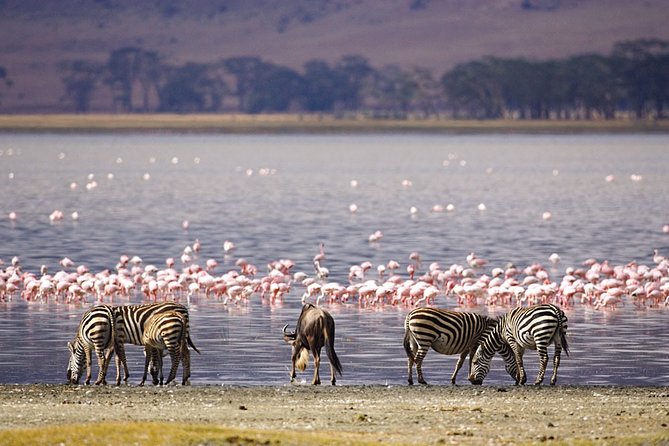 Full-Day Lake Nakuru National Park from Nairobi - Leaving Nairobi at 6:30 a.m.