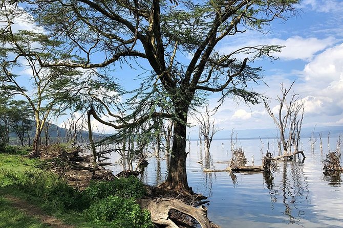 Full-Day Lake Nakuru National Park from Nairobi - The shorter drive out of the park