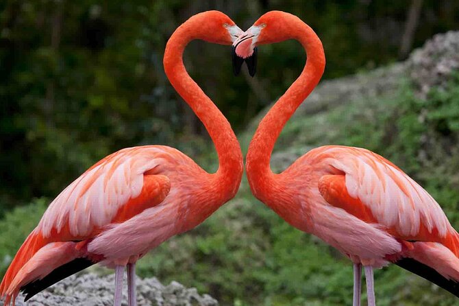 Full-Day Lake Nakuru National Park Private Tour from Nairobi - Leaving Nairobi at 6:00am
